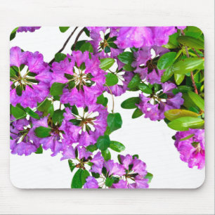 Elegant pink florals pink azaleas pink flowers mouse mat