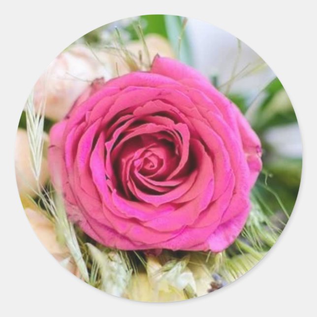 Elegant Pink Garden Rose Floral Flower Classic Round Sticker (Front)