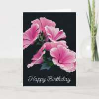 Elegant Pink Hollyhock Mallow Malva Flower