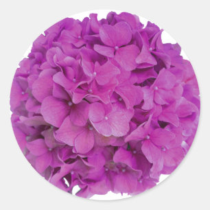 Elegant pink magenta floral hydrangeas roses  classic round sticker