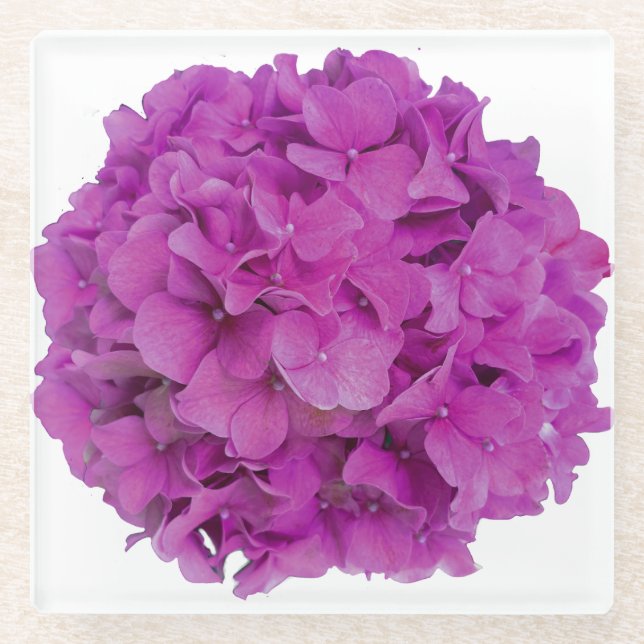 Elegant pink magenta floral hydrangeas roses  glass coaster (Front)