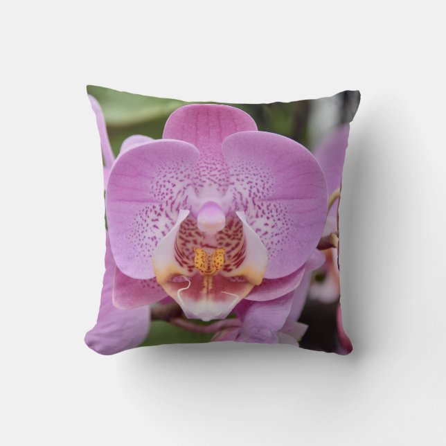 Elegant Pink Orchid Floral Nature Close-up Throw P Cushion (Front)