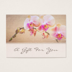 Elegant Pink Orchid Flower Floral Florist