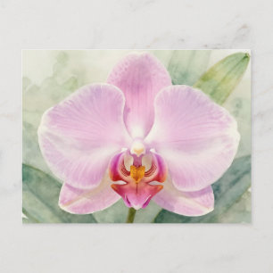 Elegant Pink Orchid Watercolor Botanical Floral Postcard