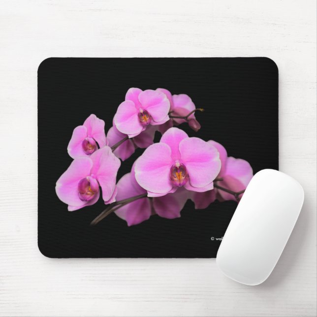 Elegant Pink Orchids Phalaenopsis Flowers on Black Mouse Mat (With Mouse)