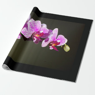 Elegant pink orchids tropical floral photo wrapping paper