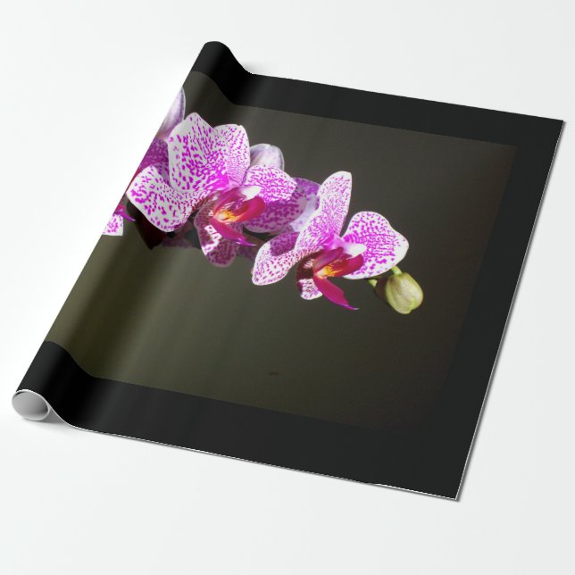 Elegant pink orchids tropical floral photo wrapping paper (Unrolled)