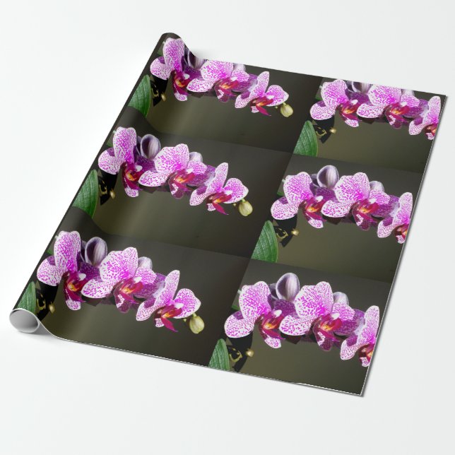 Elegant pink orchids tropical floral photo wrapping paper (Unrolled)