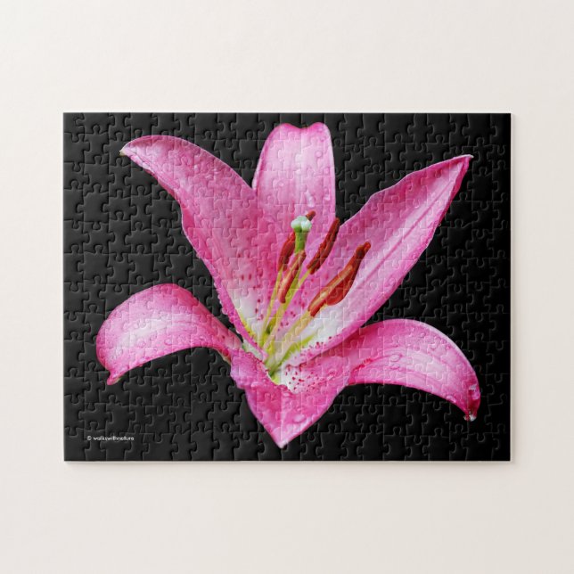 Elegant Pink Oriental Lily Lilium Stargazer Flower Jigsaw Puzzle (Horizontal)