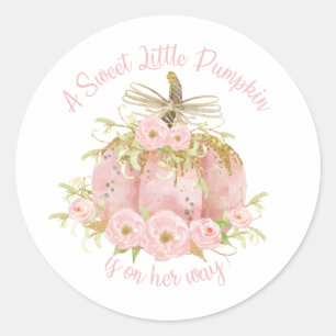 Elegant Pink Pumpkin Baby Shower Girl Classic Round Sticker