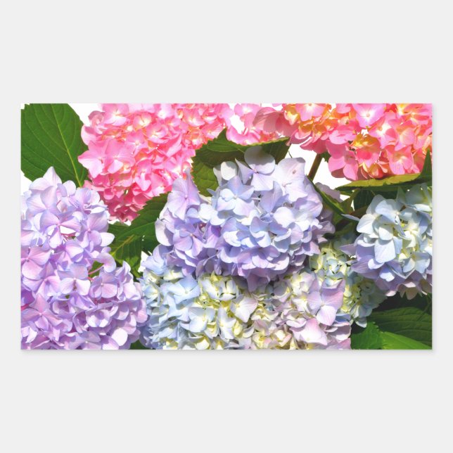 Elegant pink purple blue floral hydrangea bouquet rectangular sticker (Front)