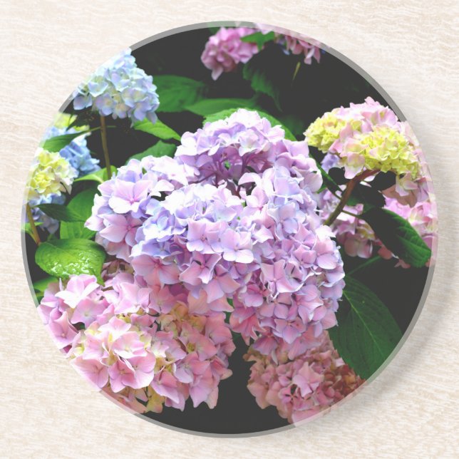 Elegant pink purple blue floral hydrangea gardens  coaster (Front)