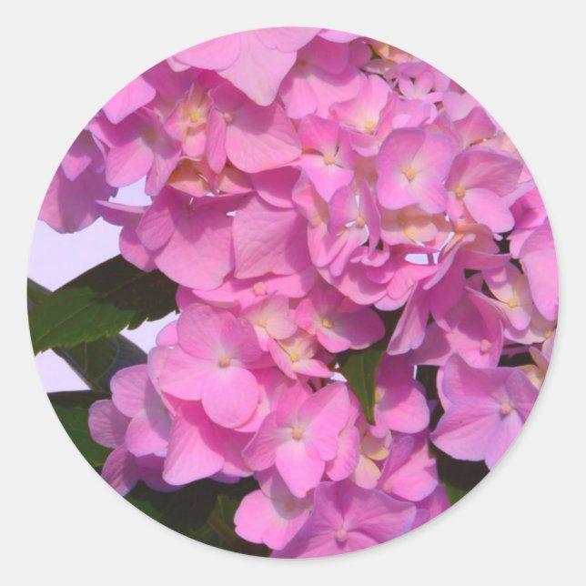 Elegant pink purple florals hydrangeas classic round sticker (Front)