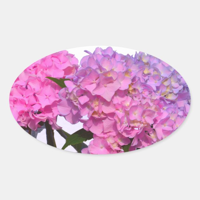Elegant pink purple florals hydrangeas oval sticker (Front)