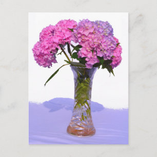 Elegant pink purple florals hydrangeas postcard