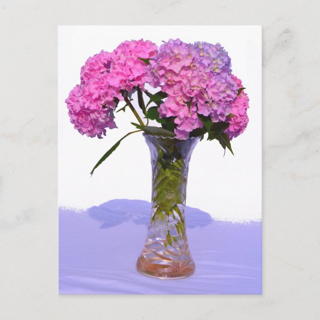 Elegant pink purple florals hydrangeas postcard (Front)