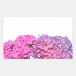 Elegant pink purple florals hydrangeas rectangular sticker