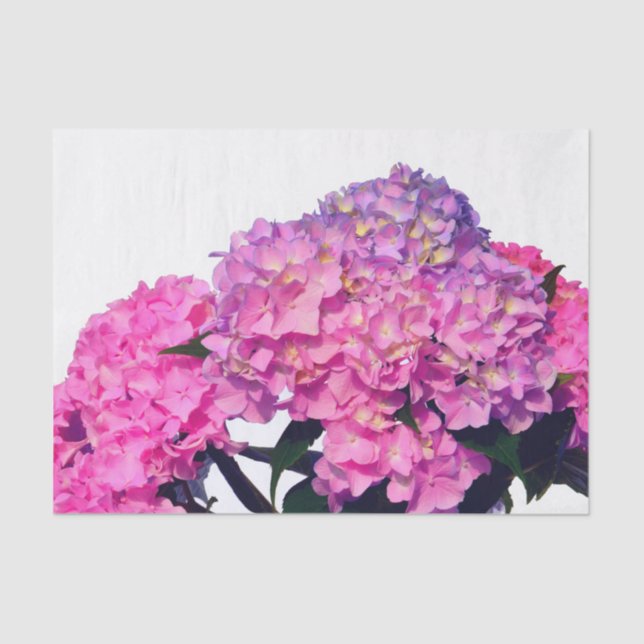 Elegant pink purple florals hydrangeas tissue paper (Front)