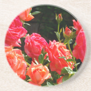 Elegant pink red orange floral roses coaster