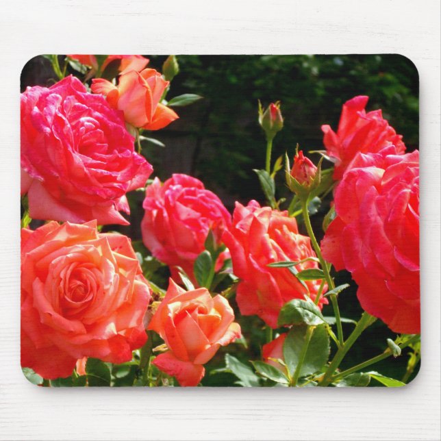 Elegant pink red orange floral roses mouse mat (Front)