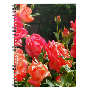 Elegant pink red orange floral roses notebook
