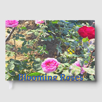 Elegant Pink & Red Roses Guest Book