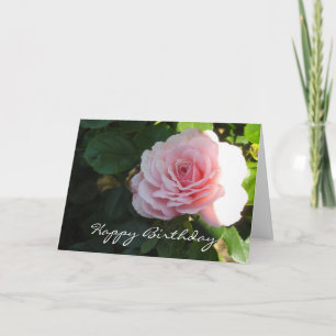 Elegant Pink Rose Birthday Card