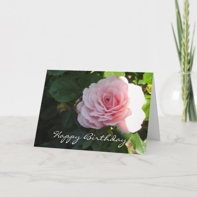 Elegant Pink Rose Birthday Card (Front)