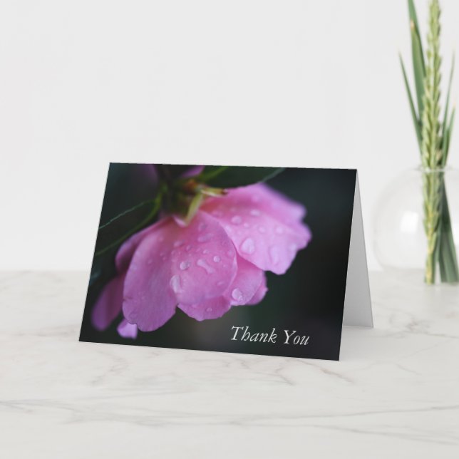 Elegant Pink Rose Close Up w/ Dew Happy Thank you Card (Front)