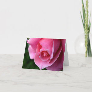 Elegant Pink Rose Note Card
