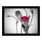 Elegant Pink Rose
