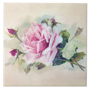Elegant Pink Rose with Rosebuds Tile