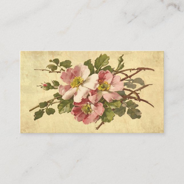 Elegant Pink Roses, Vintage Business Card (Front)