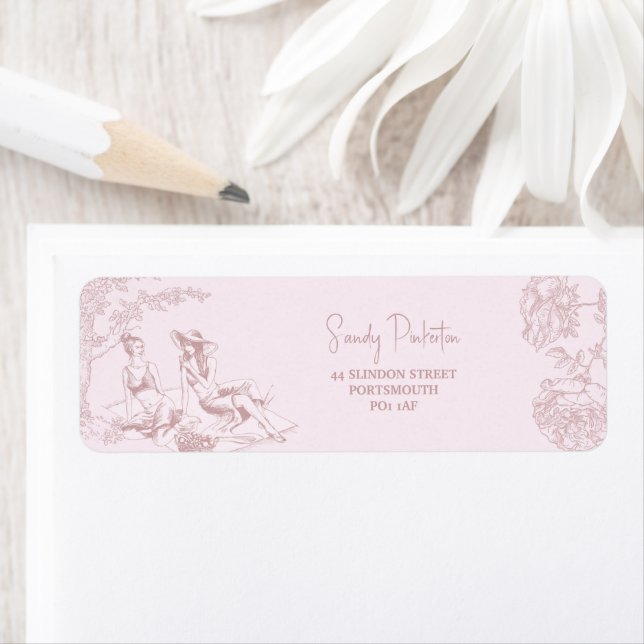 Elegant Pink Toile de Jouy Baby Shower  Address (Insitu)