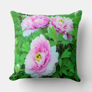 Elegant Pink Tree Peony Flowers with Yellow Centre Cushion
