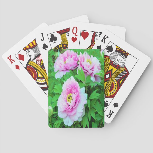 Elegant Pink Tree Peony Flowers with Yellow Centre Playing Cards (Back)