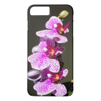 Elegant pink tropical floral flowers orchids