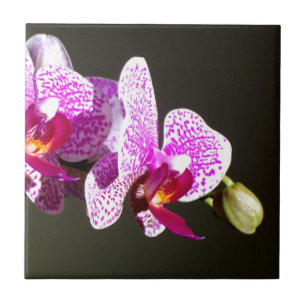 Elegant pink tropical floral flowers orchids tile