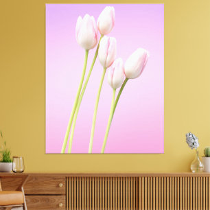 Elegant Pink Tulips Stretched Canvas Print