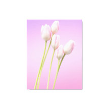Elegant Pink Tulips Stretched Canvas Print