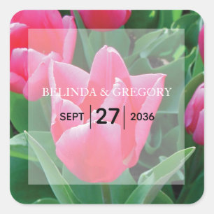 Elegant Pink Tulips Wedding  Square Sticker