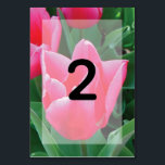 Elegant Pink Tulips Wedding Table Number<br><div class="desc">This design features elegant pink tulips in its natural greenery. A beautiful field of pink tulips is used for the background. The table number is elegantly framed with a simple white opaque border background. This is the perfect floral wedding design ideal for any wedding theme. Elegant and romantic tulip flowers...</div>