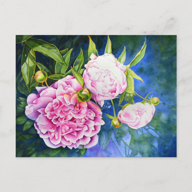 Elegant pink white classic watercolor floral postcard (Front)