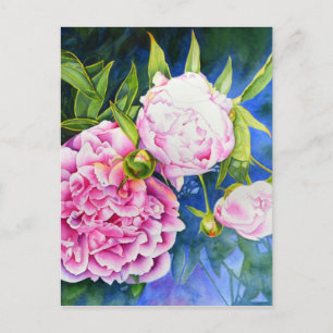 Elegant pink white classic watercolor floral postcard