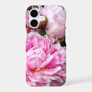 Elegant pink white peony floral garden photo