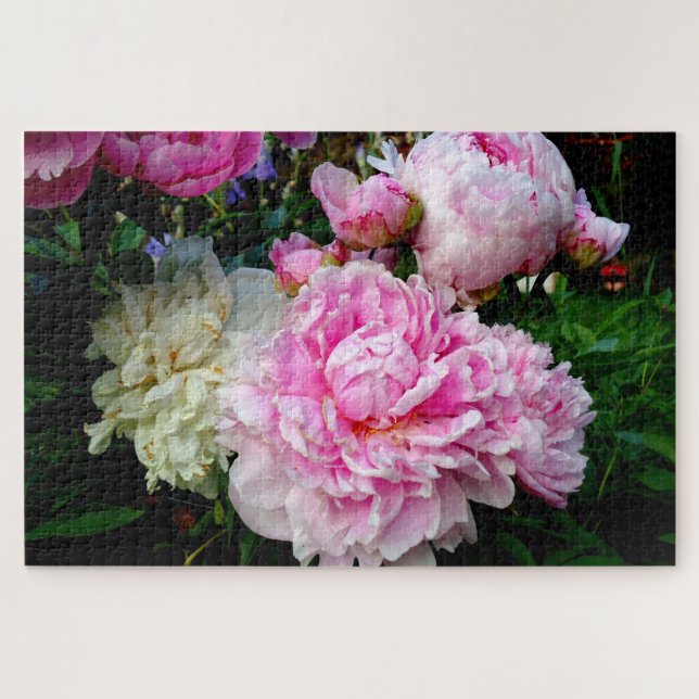 Elegant pink white peony floral garden photo jigsaw puzzle (Horizontal)