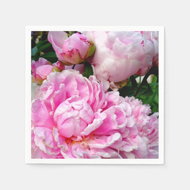 Elegant pink white peony floral garden photo napkin (Front)