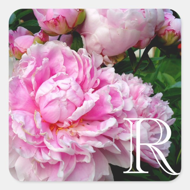 Elegant pink white peony floral garden photo square sticker (Front)