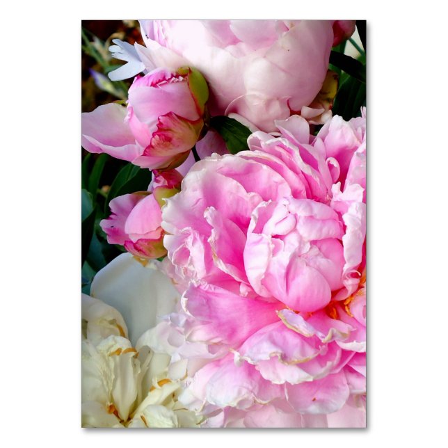 Elegant pink white peony floral garden photo table number (Front)