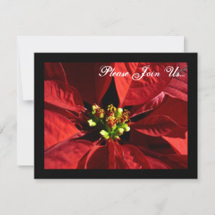 Elegant Poinsettia Holiday Christmas Invitations